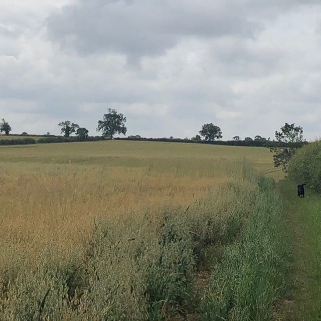 FiBarkerDesign's tweet photo. Where you are now is the result of your previous thoughts and actions. - Today do something that makes you feel good, focus on the now and do one thing that makes you happy! -
I took this picture this morning on my dog walk. Please take a picture today o… https://t.co/sseUAlKorP https://t.co/AcTPNMiWGf
