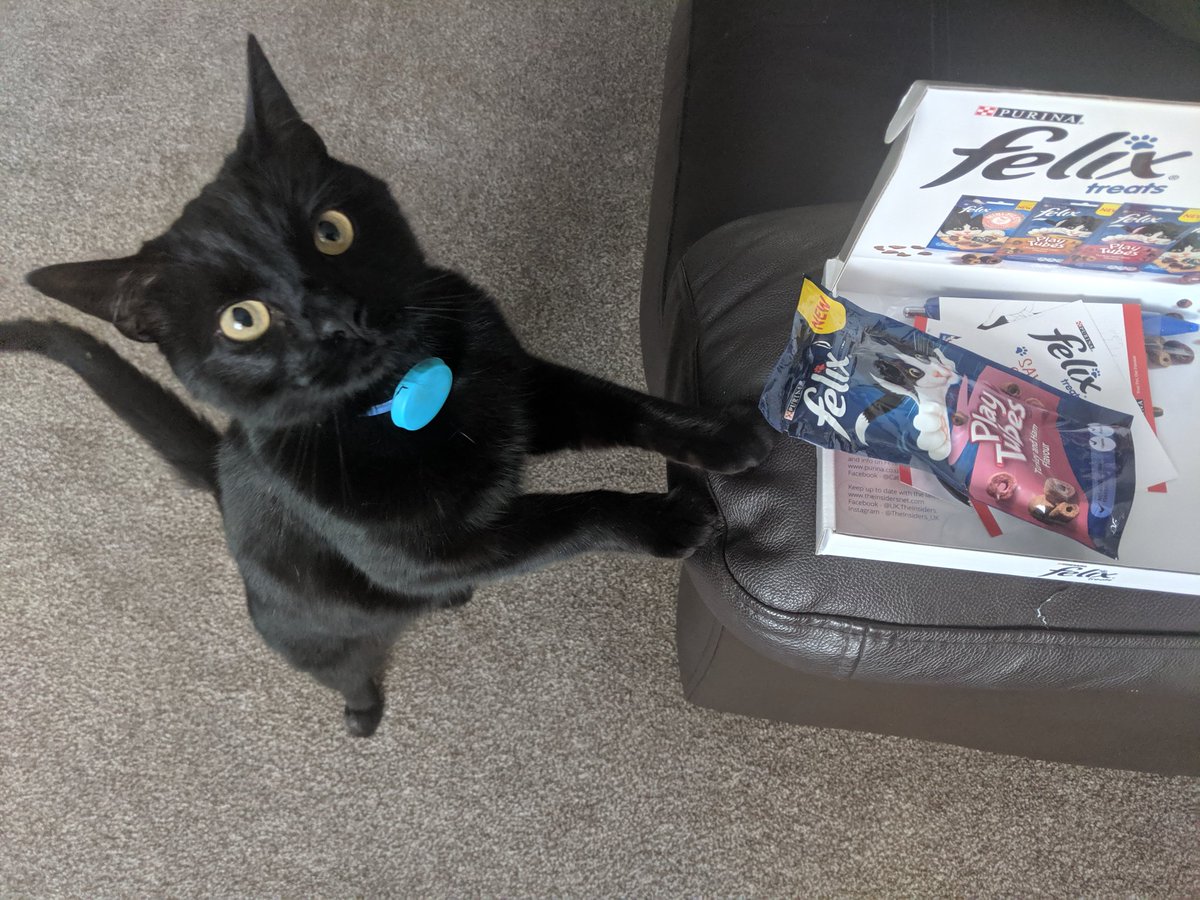 Dexter_Elphaba's tweet photo. @TheInsiders_UK ... First impressions, as you can see are positive! Dexter was very impatient whilst the box &amp; packaging was being opened! Dexter scoffed his treats straight away! #felixtreatsinsiders #theinsidersuk https://t.co/ld8noh1Yf4
