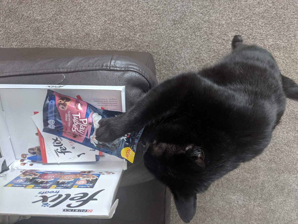 Dexter_Elphaba's tweet photo. @TheInsiders_UK ... First impressions, as you can see are positive! Dexter was very impatient whilst the box &amp; packaging was being opened! Dexter scoffed his treats straight away! #felixtreatsinsiders #theinsidersuk https://t.co/ld8noh1Yf4