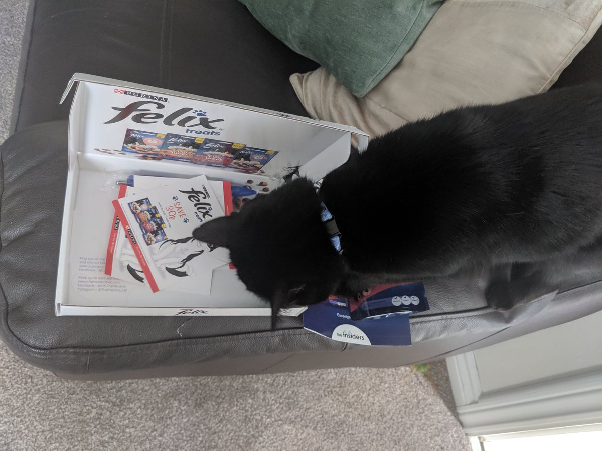 Dexter_Elphaba's tweet photo. @TheInsiders_UK ... First impressions, as you can see are positive! Dexter was very impatient whilst the box &amp; packaging was being opened! Dexter scoffed his treats straight away! #felixtreatsinsiders #theinsidersuk https://t.co/ld8noh1Yf4