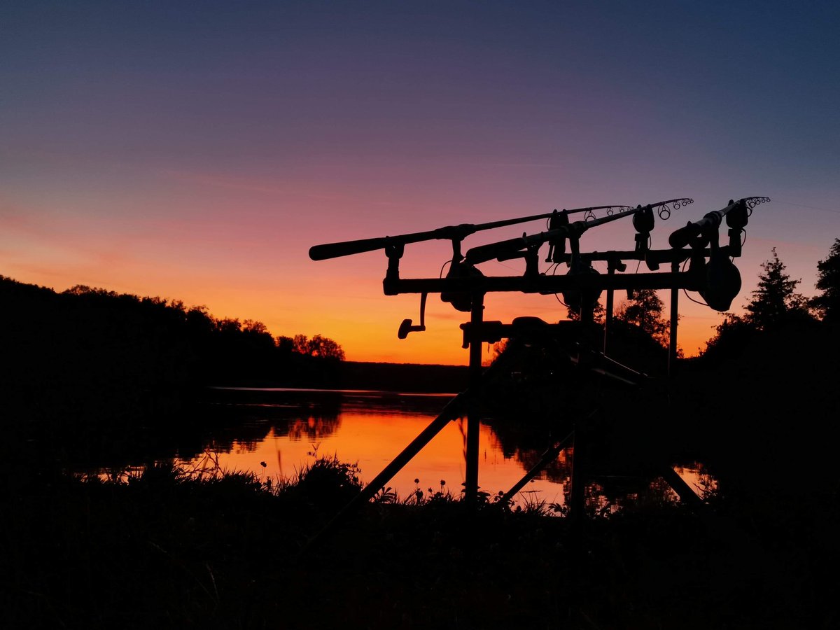 #fishingtime #carpe #carpfishing #carpy #carpe #carpangler #carplife #nokill #boilie #peche #photography