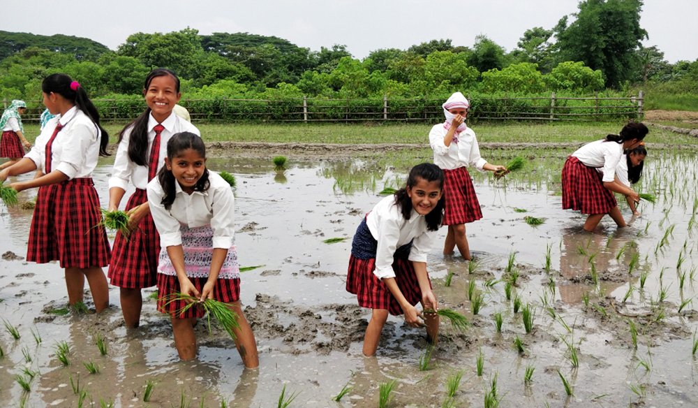 the_chetna's tweet photo. College in Assam makes farming part of practical class, students sow paddy in nearby field

Read More... https://t.co/c9YkFC5YVv

The Chetna Appreciate for this Initiative...

Source : The News Mill
#TheChetna
#SpreadingGoodness
#InspiringGoodness
#PJF
#DNL
#PramaJyotiFoundation https://t.co/V3qrYOUKLd