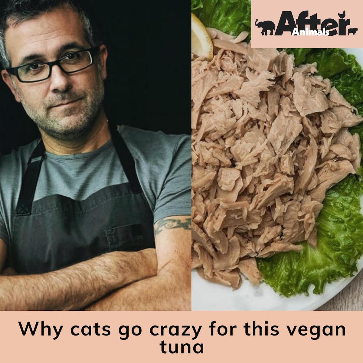 After Animals Podcast tweet media