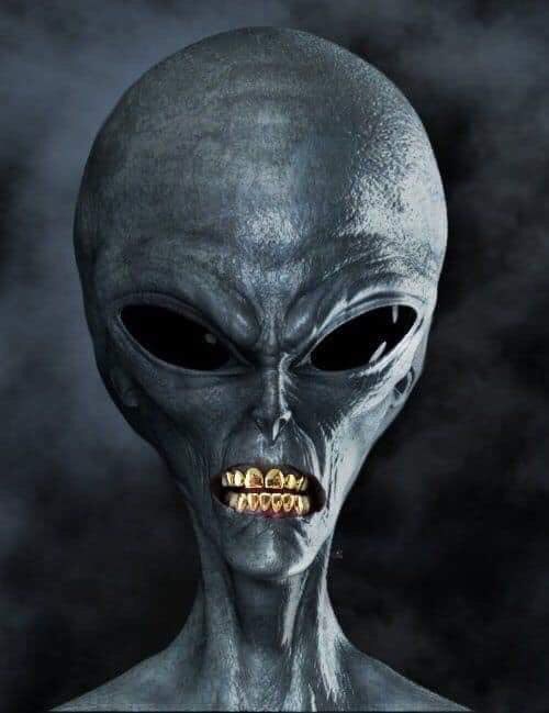 When the Aliens escape from Area 51 and end up in Florida 👽🛸