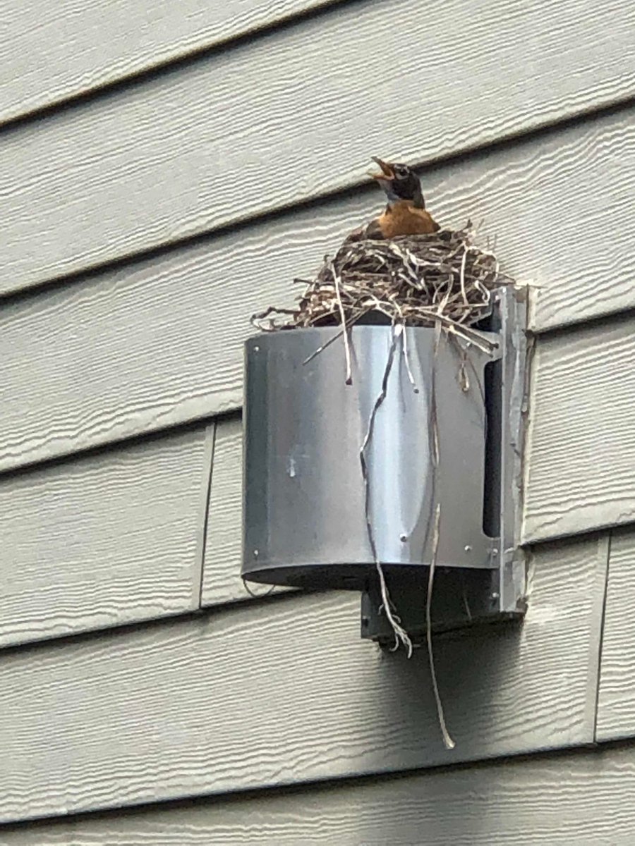 Mom ‘s love, she’s been there for days / weeks