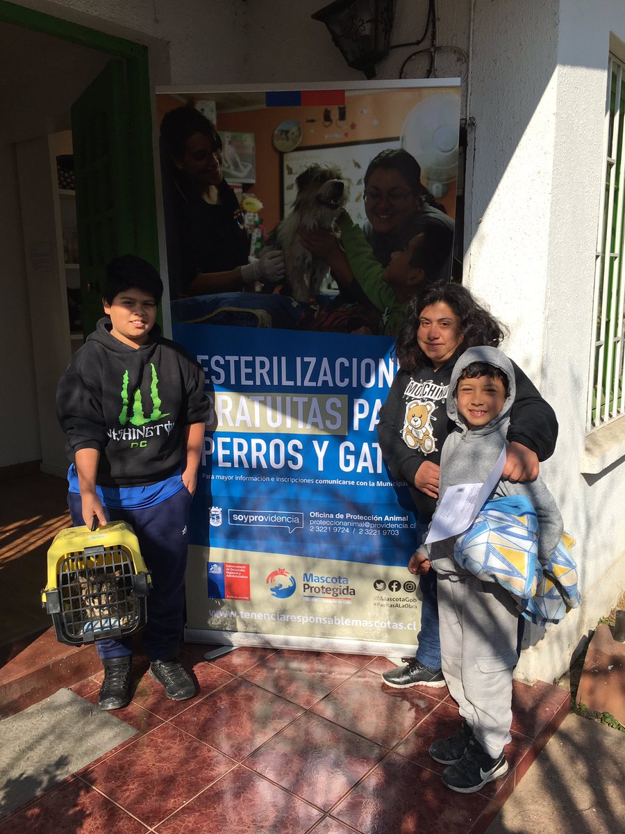 DRPREYES's tweet photo. 35 pacientes fueron esterilizados hoy totalizando más de 400 en un mes, como parte del plan de #tenenciaResponsable de #Providencia ❤️🐶🐱 @Muni_provi @laSUBDERE @MascotaGob @VetCeba @fundCeba @evelynmatthei @botaspuesta https://t.co/q9bkyxaH5t