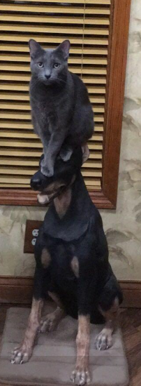 Selcuk_Dilsiz's tweet photo. @Havenlust Don't look at it
#justSAVEit ๐ https://t.co/wajkhR64Xf