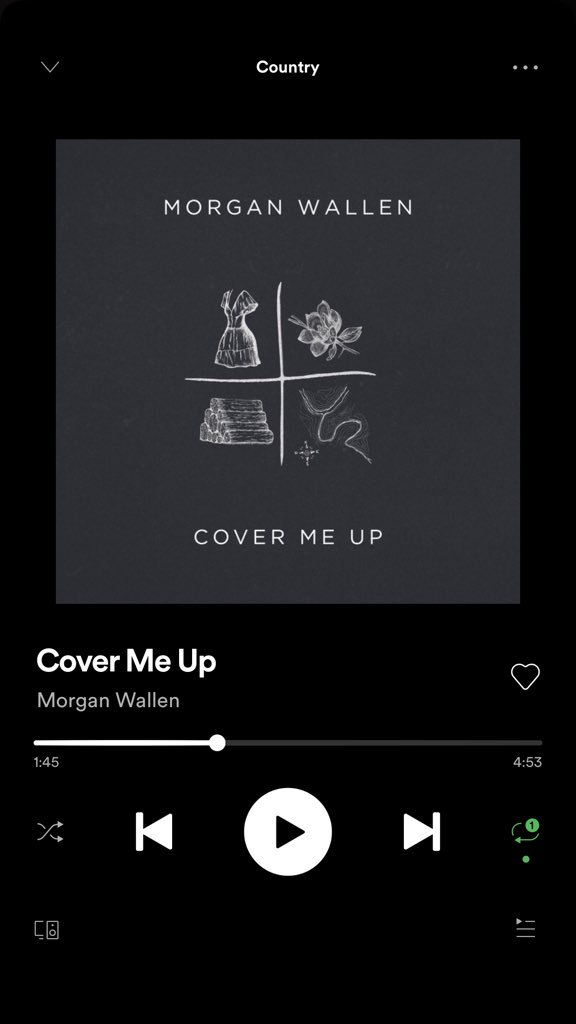carnes_olivia's tweet photo. If I had to listen to the same song for the rest of my life, it’d want it to be this one. @MorganWallen https://t.co/J6l9qoIwsZ