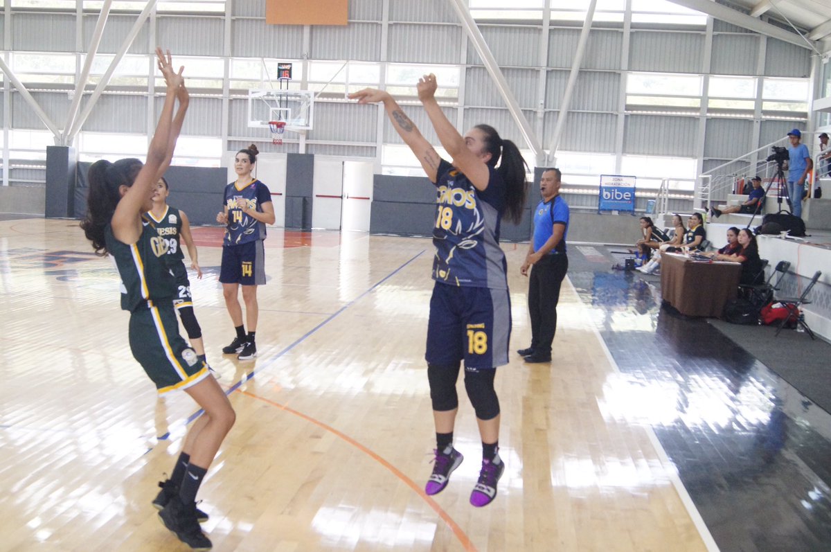 ClubGamosMx's tweet photo. Marcador final en #TerritorioLeon 

@ClubGamosMx 🦌43-28 🔰#GenesisTlapacoyan 

#CopaXalapa #GranFinal https://t.co/tkBD7EUX9E