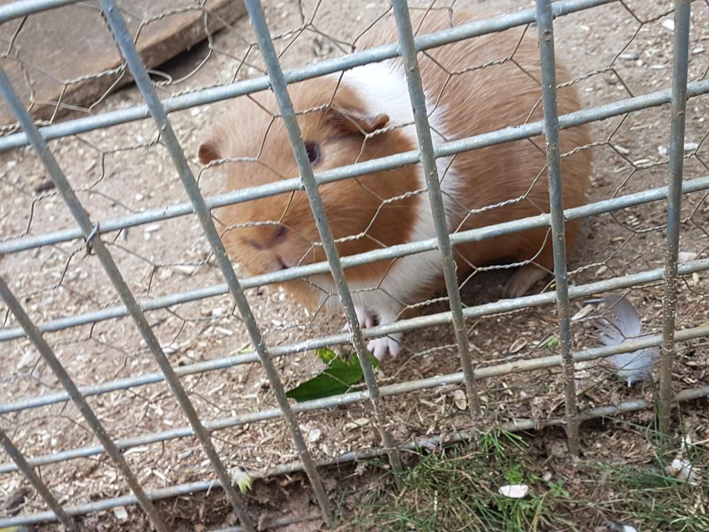 je suis à un parc avec kelly chetouane 💖