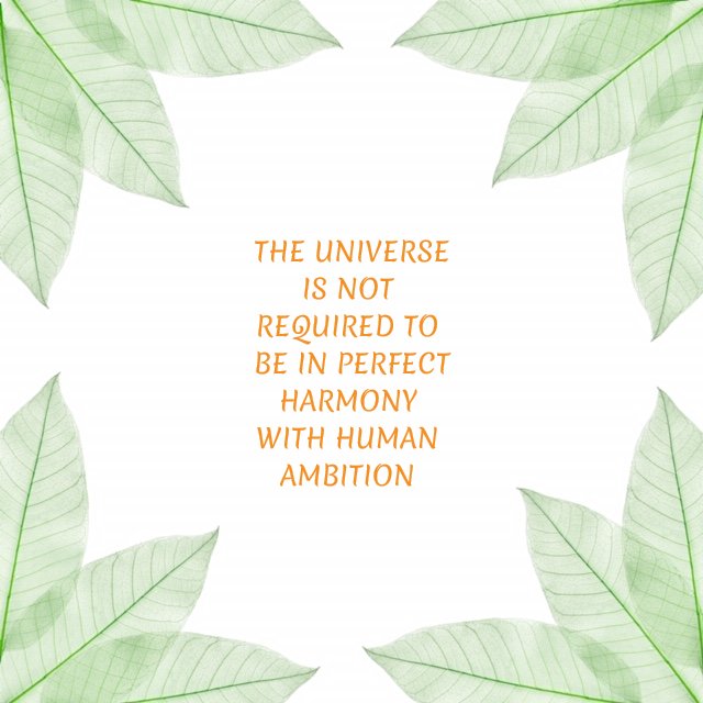 Ecovibe_be's tweet photo. #eco https://t.co/WrkgiMqRgK