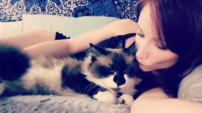 kitten love https://t.co/fNqG6yxz8J<a href="/tag/thong"class="tags"><span>#thong</span></a><a href="/tag/bootypic"class="tags"><span>#bootypic</span></a>