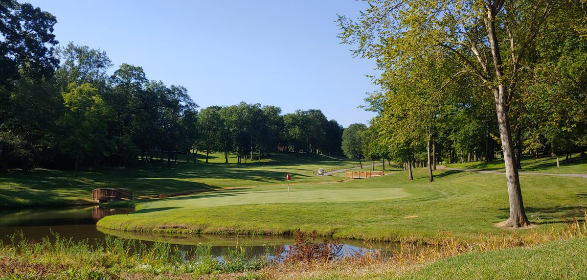 WhitmoorCCGrounds tweet media