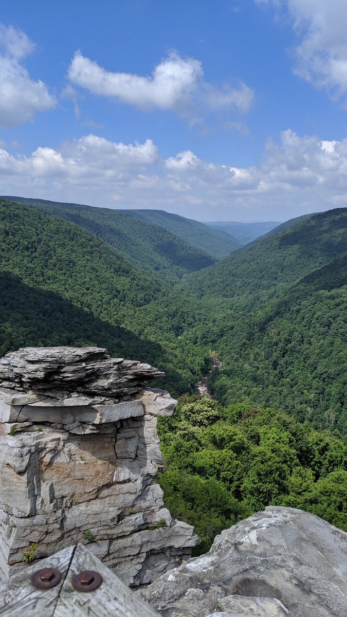 MrsMarlerGC's tweet photo. One of my favorite views with some of my favorite people. #FamilyReunion  #WestVirginia #HikingDestination https://t.co/gihlufkLfK