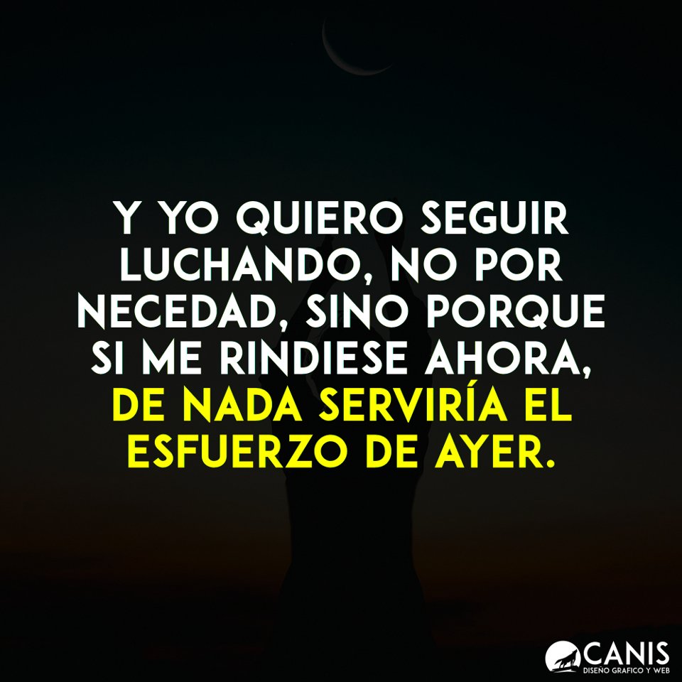 canis_md's tweet photo. https://t.co/kMQjE0n5c7
