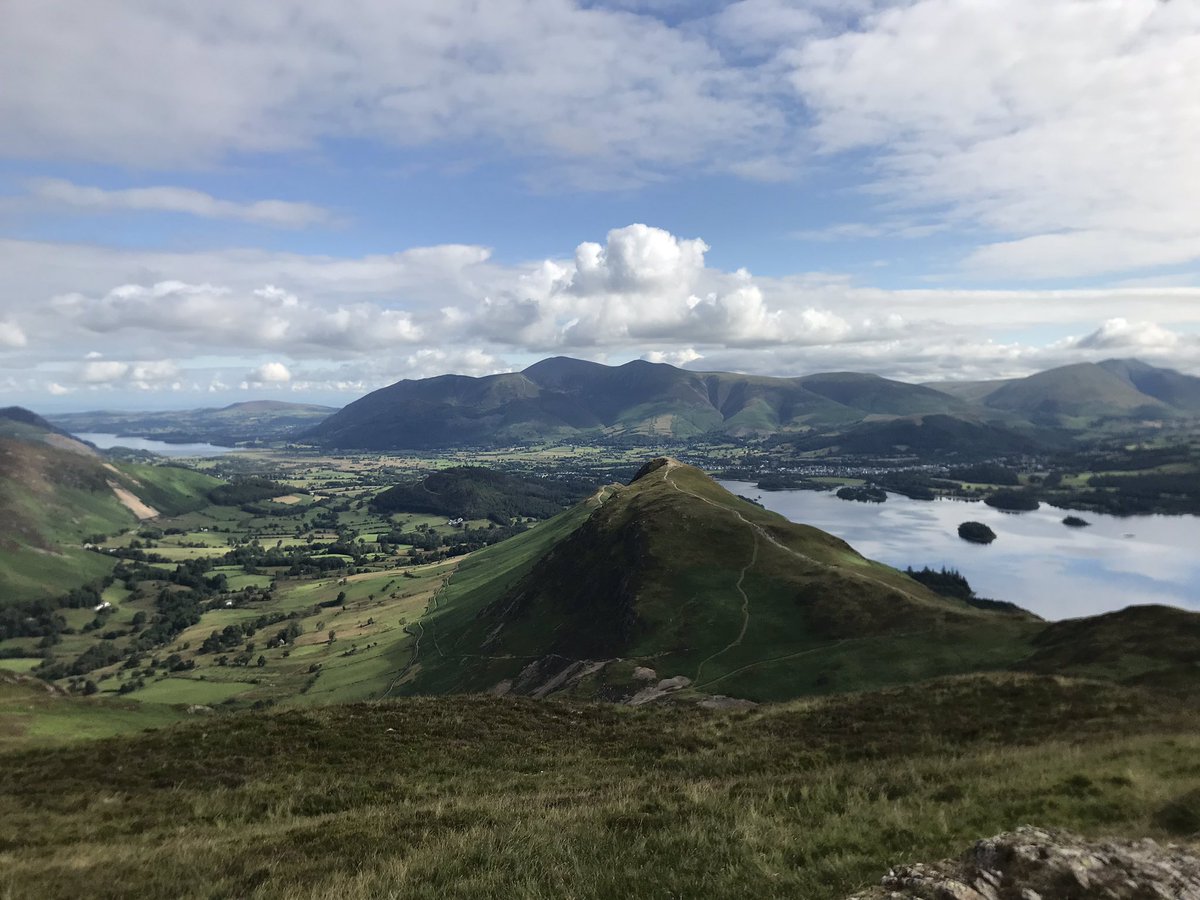 Duncan Cook tweet media