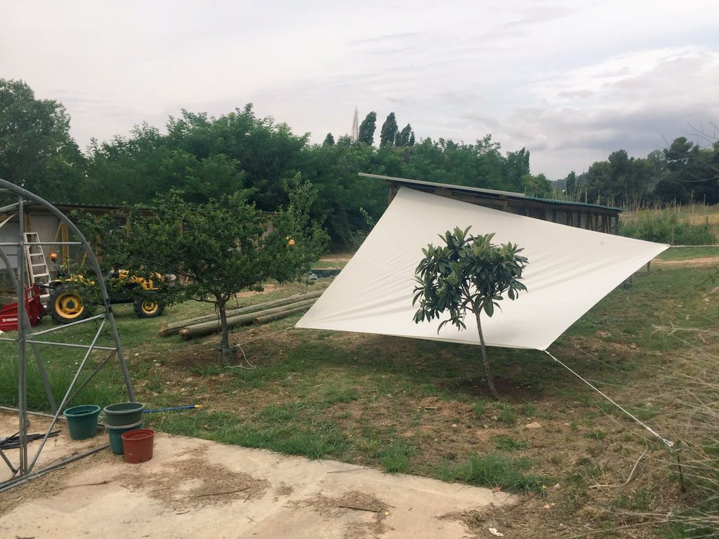 Els horts de Puigvert tweet media