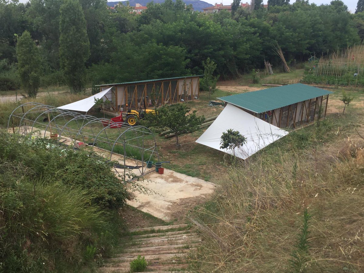 Els horts de Puigvert tweet media