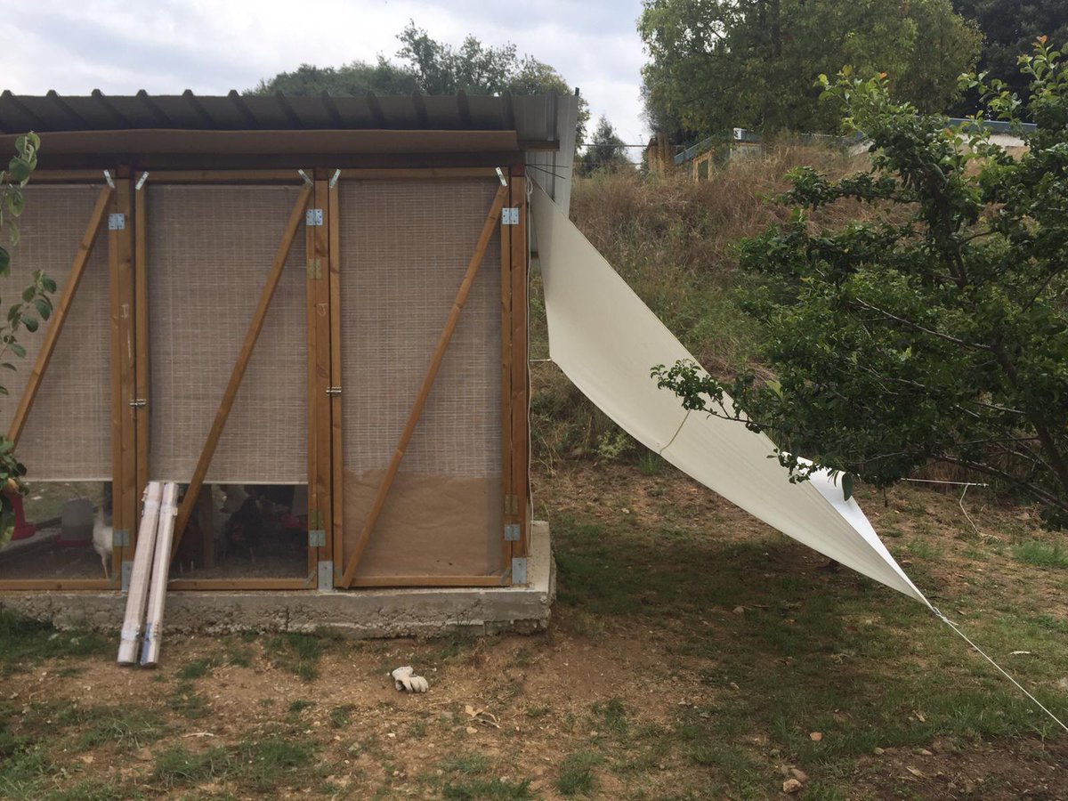 Els horts de Puigvert tweet media