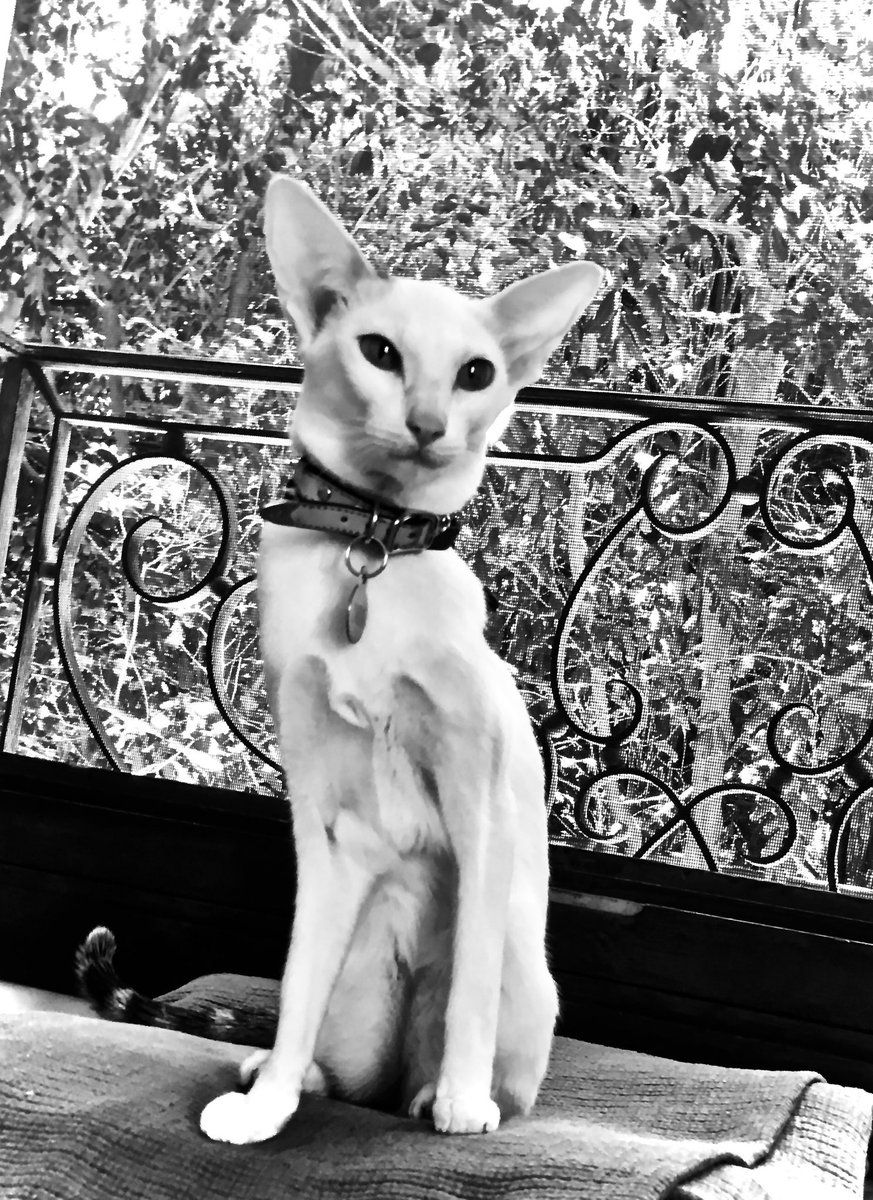 Valerie Stern (@luethge_ster) on Twitter photo 