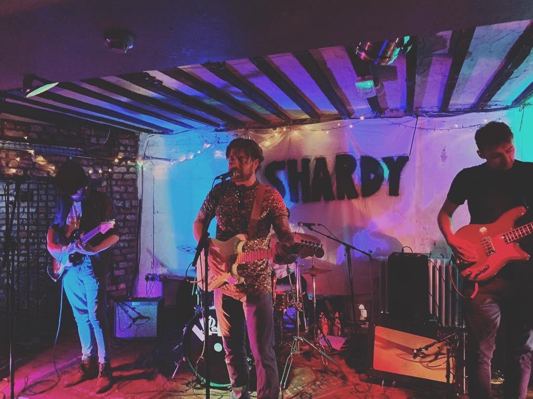 JohnOxley777's tweet photo. Open @Spotify And discover this brilliant ( New Single
“Close The Door”
By the fantastic #Shardy @Shardyband )
Guitar Driven Indie Rock Band Hailing from Liverpool ( UK )
https://t.co/uNGCB6KKI8 https://t.co/mdx0C6luw7