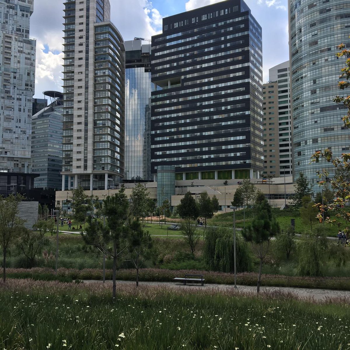 BarraAlexia's tweet photo. Domingo en #parquelamexicana #ventanacdmx me encanta venir ❤️ https://t.co/FkJ6r7gCGT