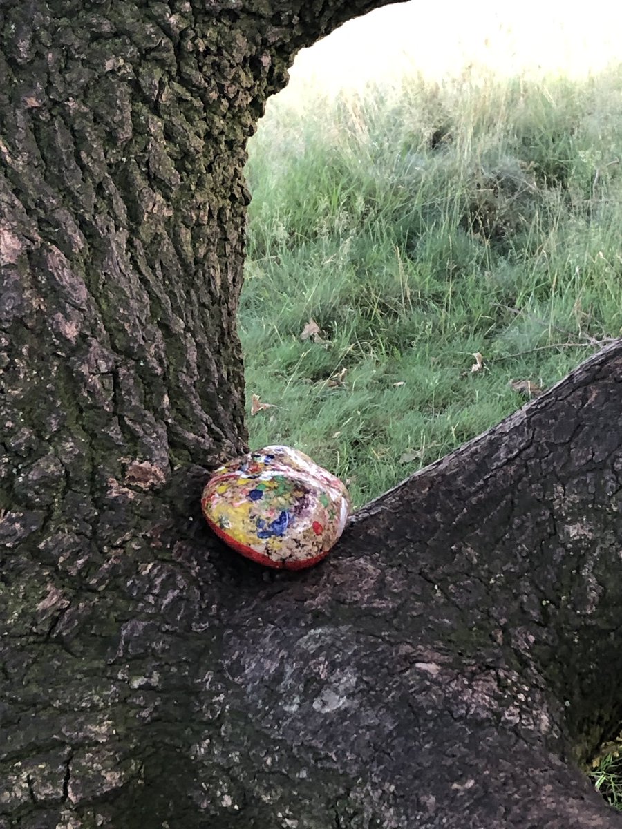 ar_hinderton's tweet photo. Another rock has been hidden for you to find! #hindertonrocks #helsbyhill #rehidefarandwide #rotakids #wateraid https://t.co/ZHFuz69oxO