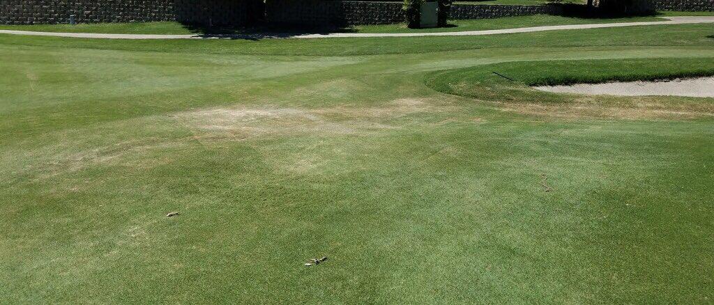 HunterElwood1's tweet photo. When the rain stops and heat turns up Reservoir can make the difference. #TrustHelena https://t.co/IxBzcpzgmD