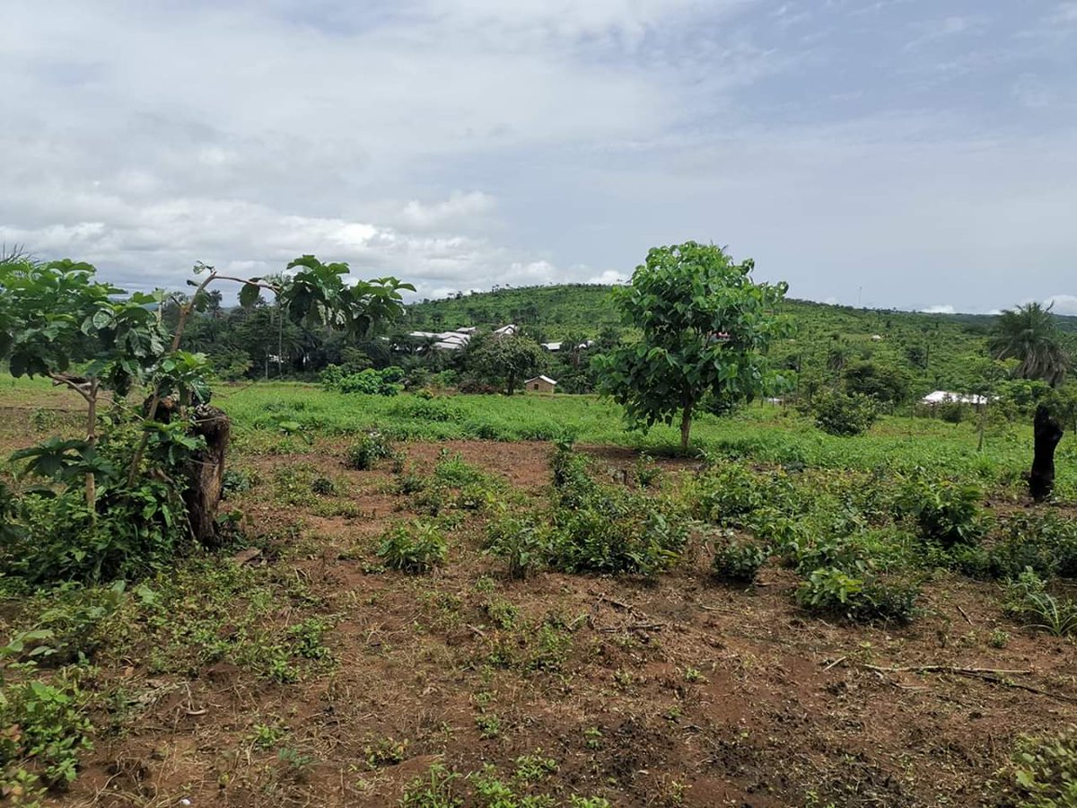 FondationESDF's tweet photo. Notre fondation ambitionne la construction d'un centre islamique dans la prefecture de Kindia, sous prefecture de Kouria. 

Les etudes sont en cours. https://t.co/8IIGc8I9jb