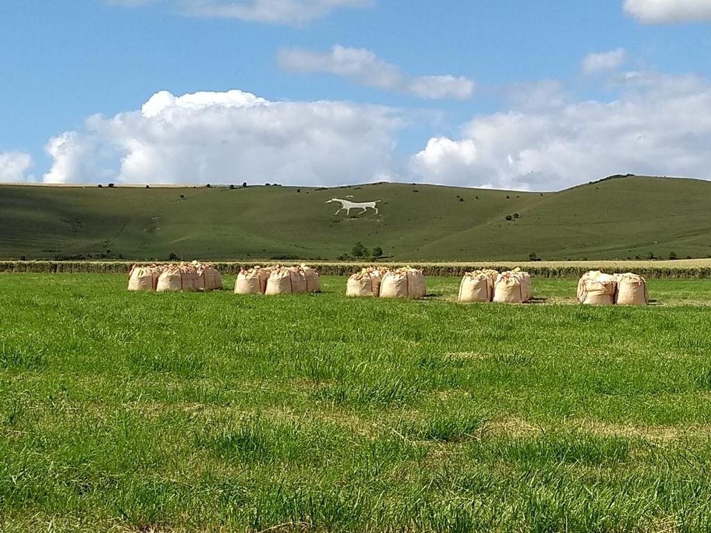 Rob Sutherland tweet media