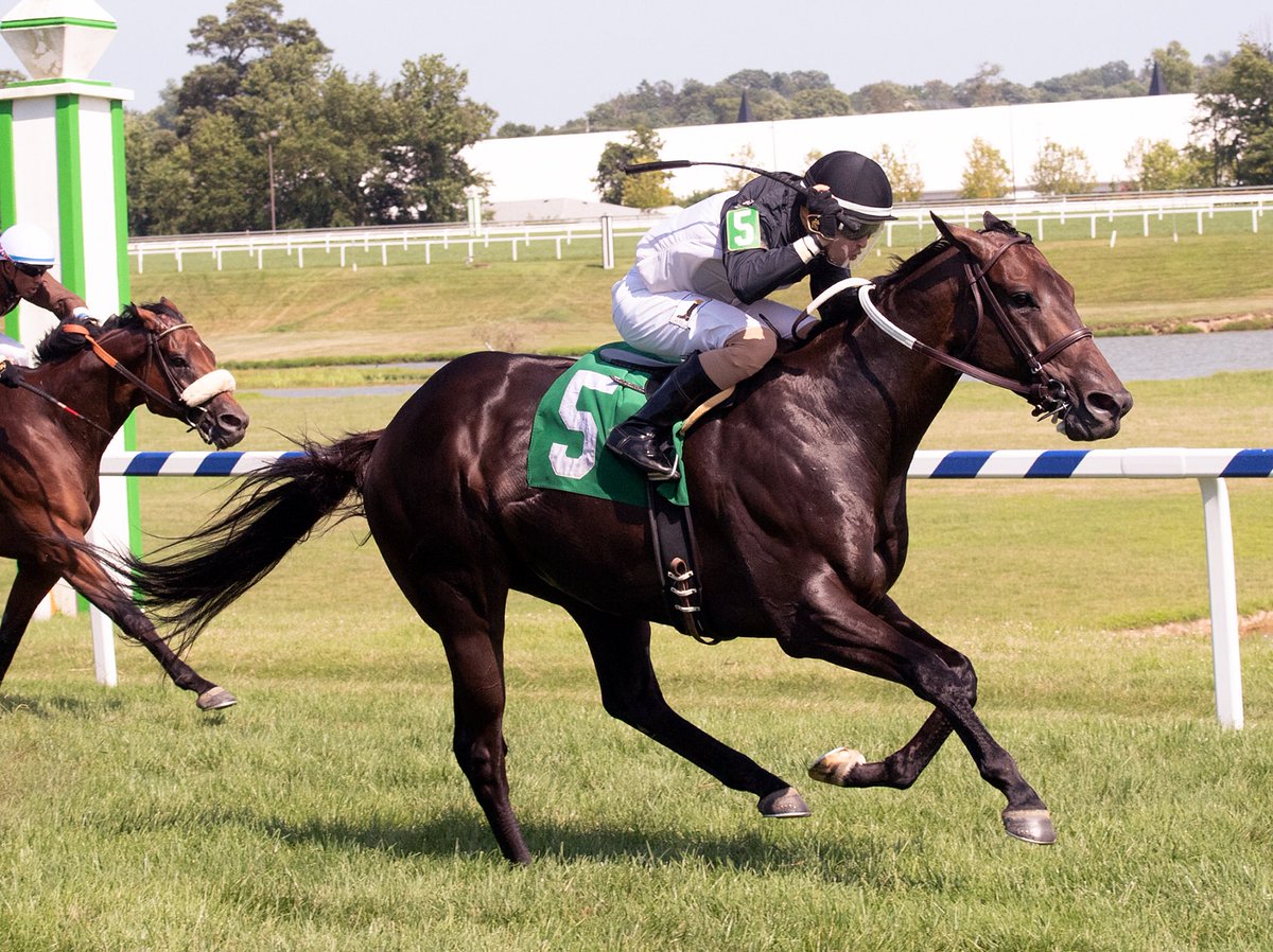 mdhorsemen's tweet photo. Owner/breeder Larry Johnson’s ⁦@MarylandTB⁩ Oldies But Goodies, 4YO Maclean’s Music gelding, takes restricted Ben’s Cat S. ⁦@LaurelPark⁩ for ⁦@trombetta_mike⁩ and jockey @AlexCintron14 (Jim McCue photo) https://t.co/BgwfWw9ZaO