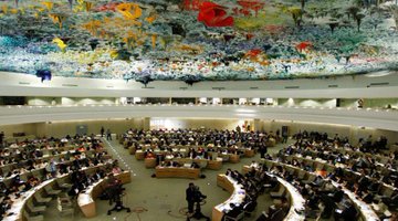 Ver imagen en Twitter