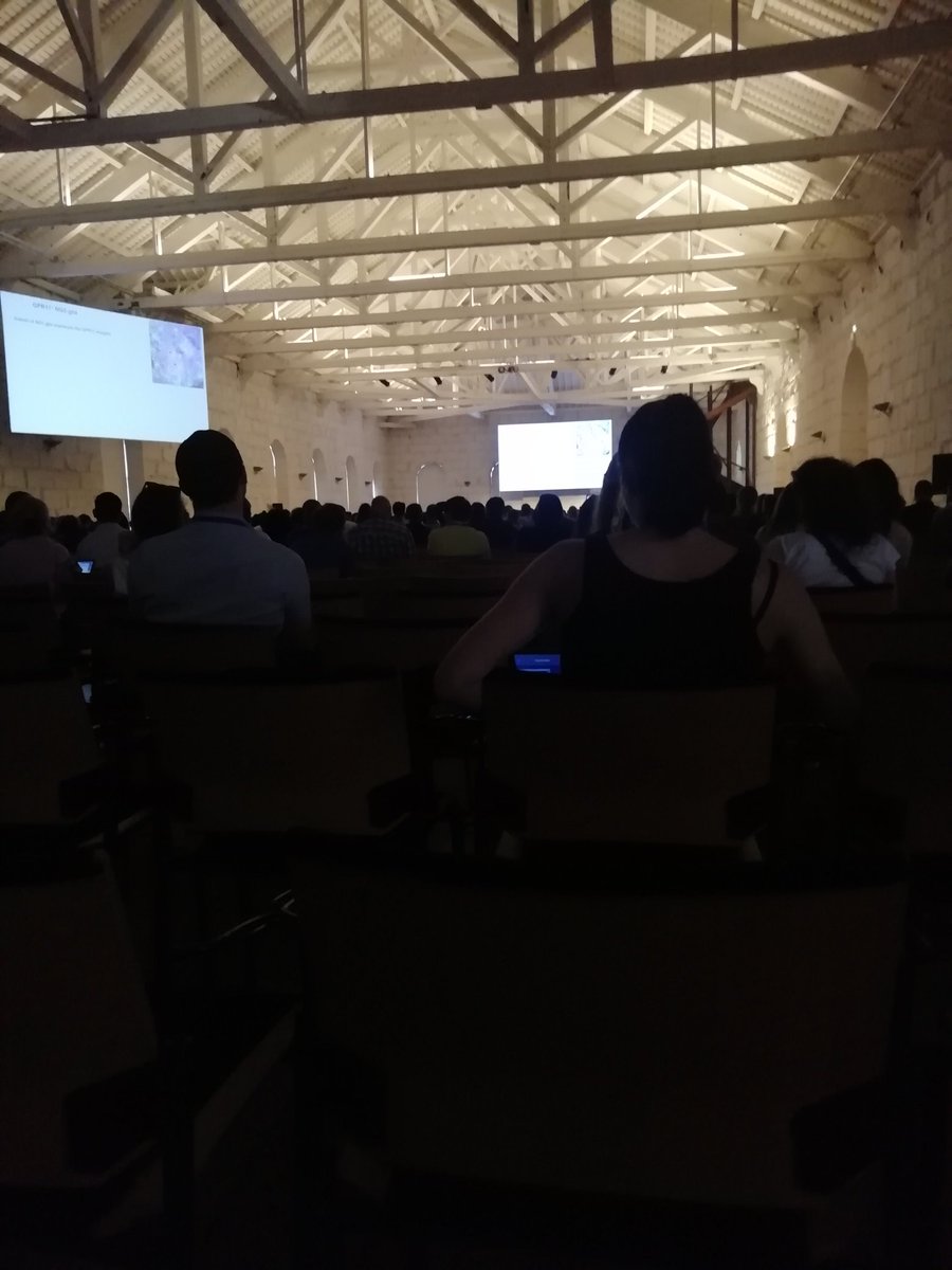pablotres14's tweet photo. Back to London after very exciting #Glia2019 conference and @ORION_opensci open science workshop. Obrigado Porto! https://t.co/h7Fk7hY9e7