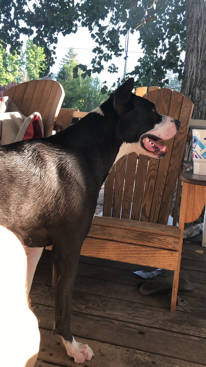 itzjakeee's tweet photo. Waiting for a burger to fall off the grill https://t.co/jwRtHRxkLG