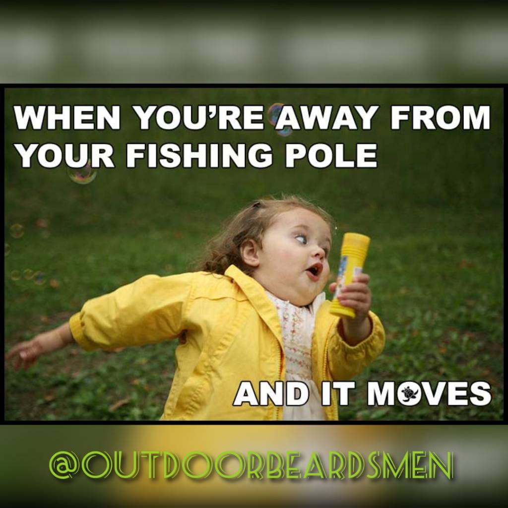 ODBeardsmen's tweet photo. Nearly have a heart attack every time lol
.
.
.
.
.
#angler #bass #bassfishing #catfish #crappie #fishing #fishinglife #outdoors https://t.co/votIsP47Ju