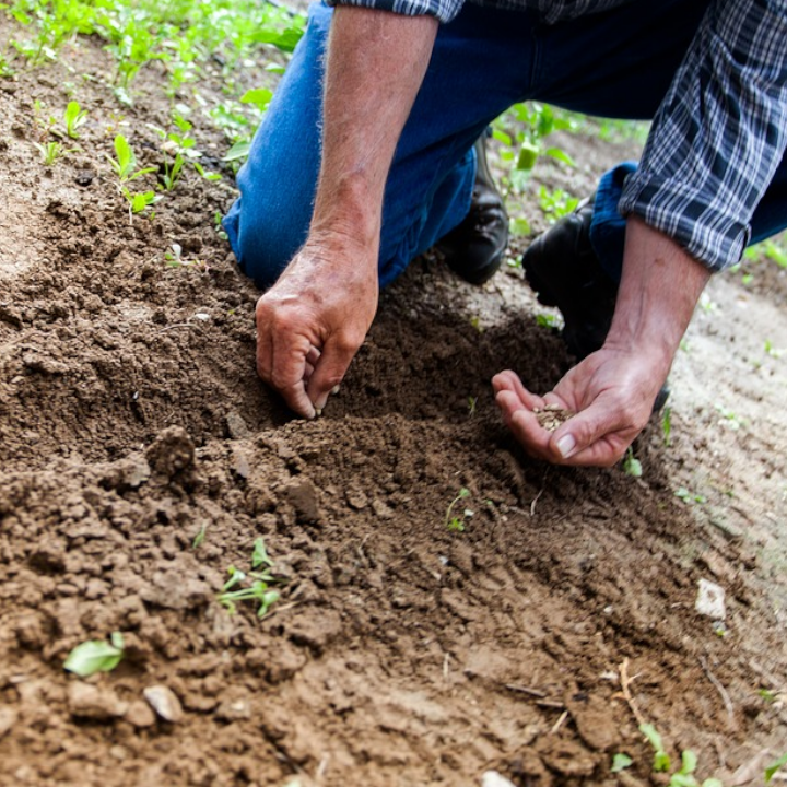 Nominate an Eco-Hero for the Milton F. Gregg Awards! Choose from 15 great awards including the Youth Activist Award, the Community Leadership Award, and the Arts and the Environment Award! conservationcouncil.ca/en/nominate-yo… #volunteergreaterfredericton #connectfredericton