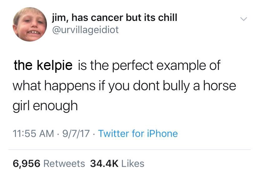 FaewoodGame's tweet photo. Please enjoy this very good meme Xan made 🐠💧🐴 #KelpieWeek https://t.co/z3J5sYTVl2