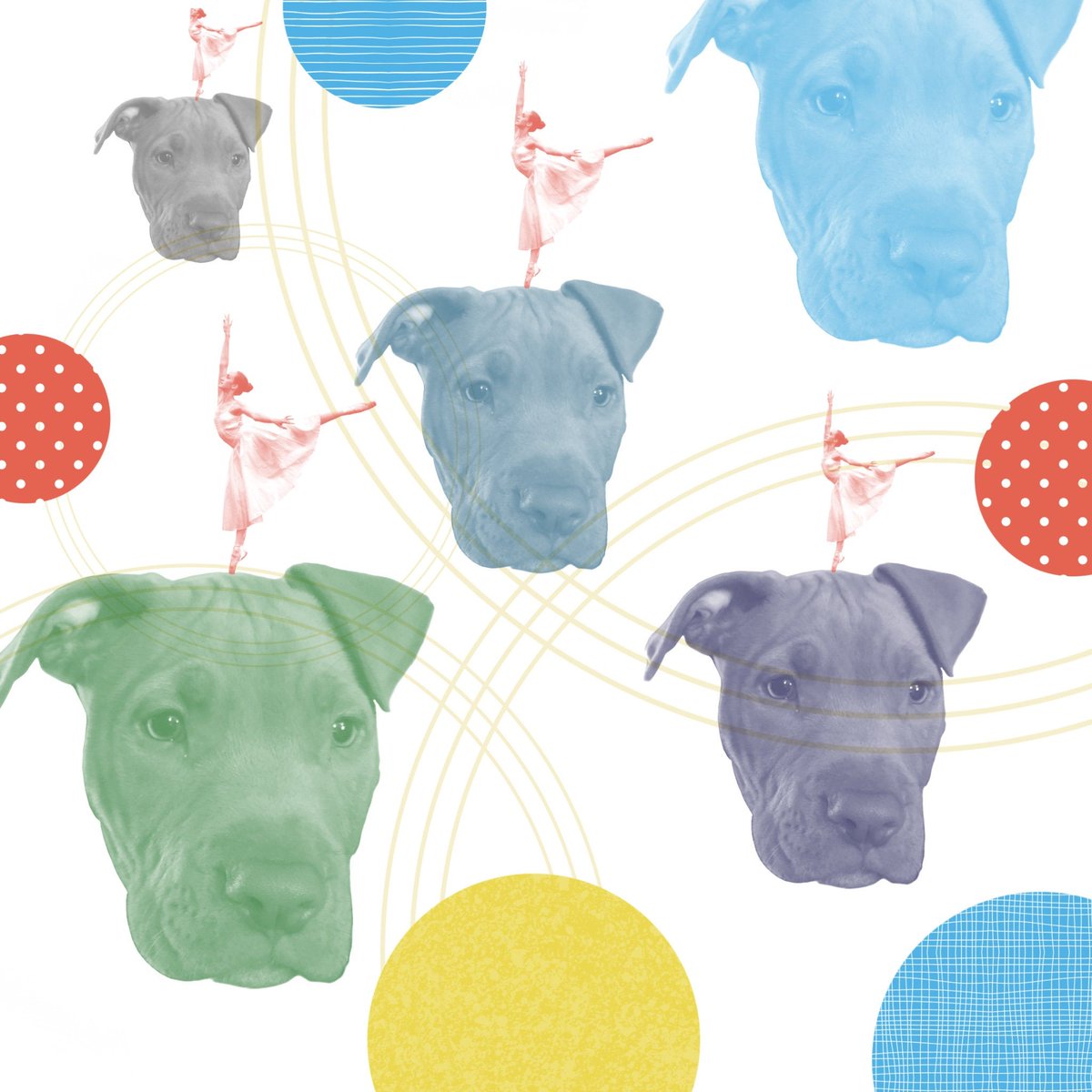 tnc1981's tweet photo. Excited to share the latest addition to my #etsy shop: Pitbull Puppy and Ballerina Collage- 300 DPI- 3000x3000 Pixel https://t.co/eJtar1AWyj #art #drawing #pitbull #ballerinas #collage #pitbullpuppy #digitaldownload #instantdownload #printable https://t.co/ygKT2CW8cO