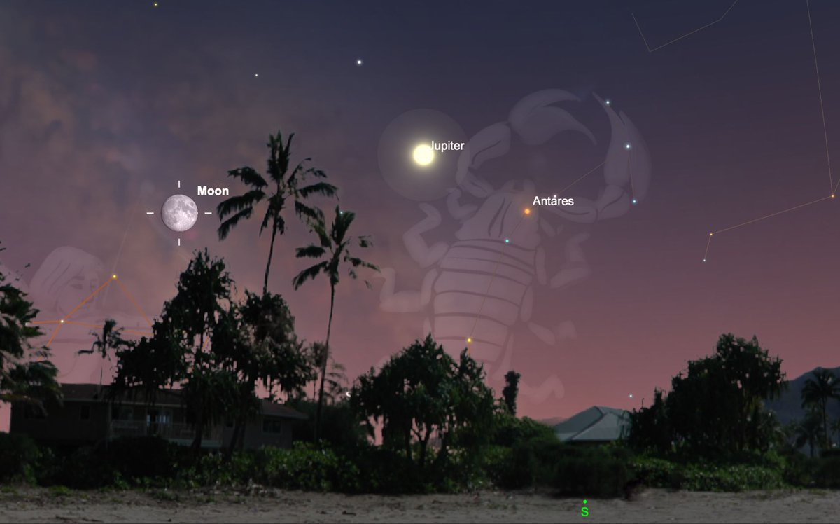 thenightskyguy's tweet photo. #Jupiter joins the waxing gibbous #moon and orange Antares in #constelltion #Scorpius  

#astronomy
#space
#nightsky
#cosmos
#universe 
#Apollo11 https://t.co/JEyIGnTxnx