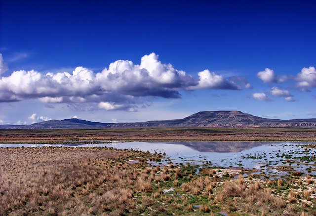 Sheriff_Donut's tweet photo. Photo By 12019 | Pixabay 
 #wyoming #landscape #scenic #nowstreaming #musicstreaming #streamingnow #streamingmusic #vemprostreaming https://t.co/bbnLxQ7Weq