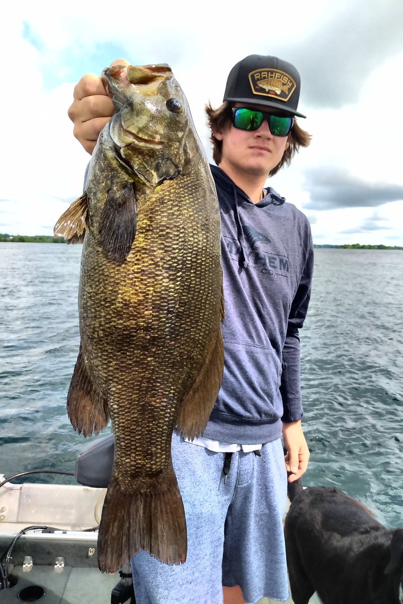 Canuck bassin jr tweet media