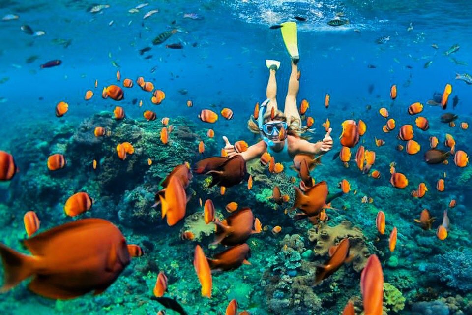 GrayLine_Mexico's tweet photo. JULY PROMO!! La Roqueta Island Snorkeling tour is 10% Off! Enjoy a beautiful sunny day and book your excursion now!
https://t.co/xiloVSp27z #travel #explore #grayline #snorkel #tour #visitmexico #beautiful #ocean #marinelife #carribeansea #cancun #rivieramaya #tulum #playa https://t.co/0mNOKdSgxj