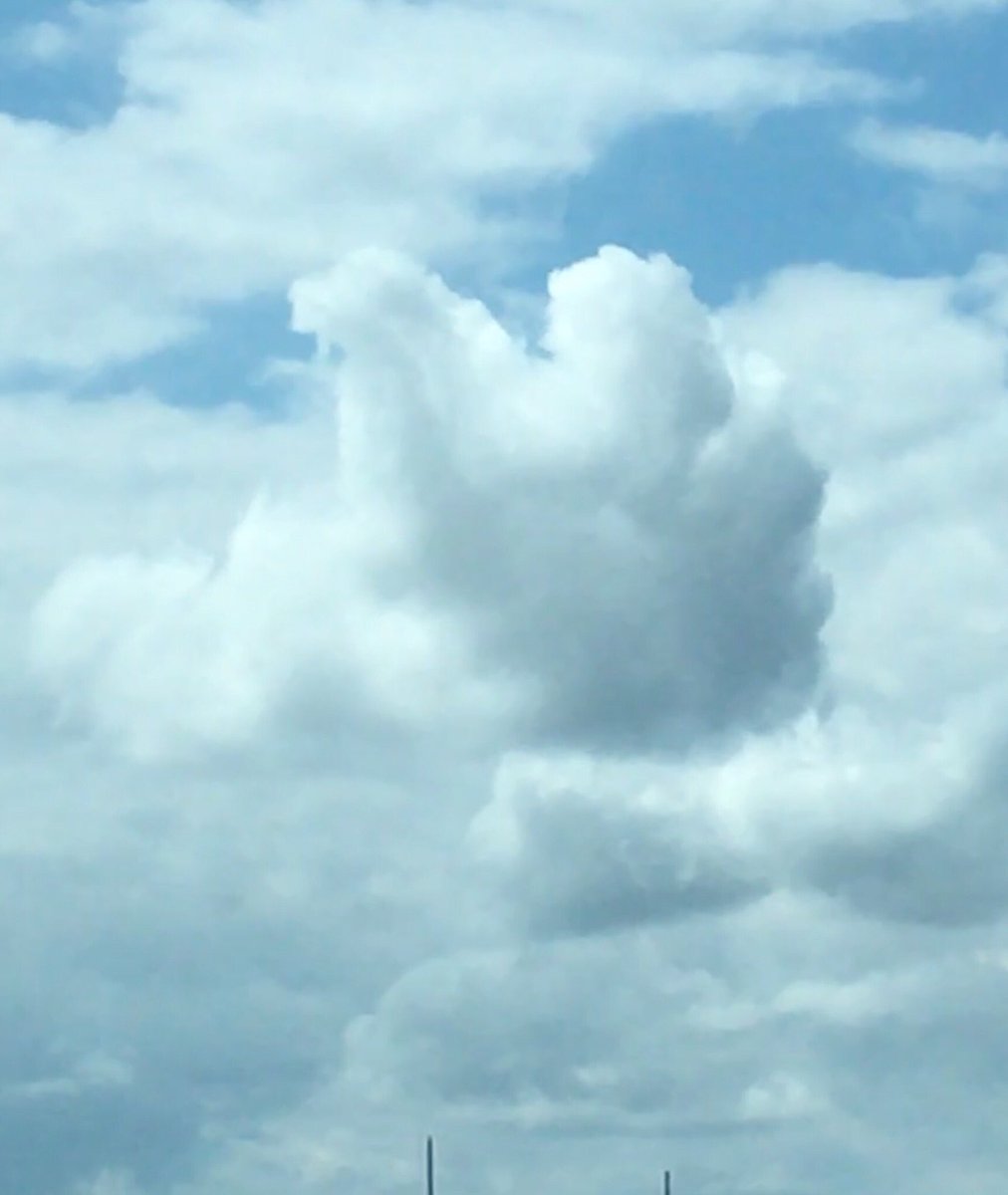 shelwinkleywx's tweet photo. Clouds over Hwy 6 in Bryan giving Aggieland a big ol' Gig 'em this afternoon @TAMU 

📸: Carrie Martin https://t.co/fmSZr0bIQ8
