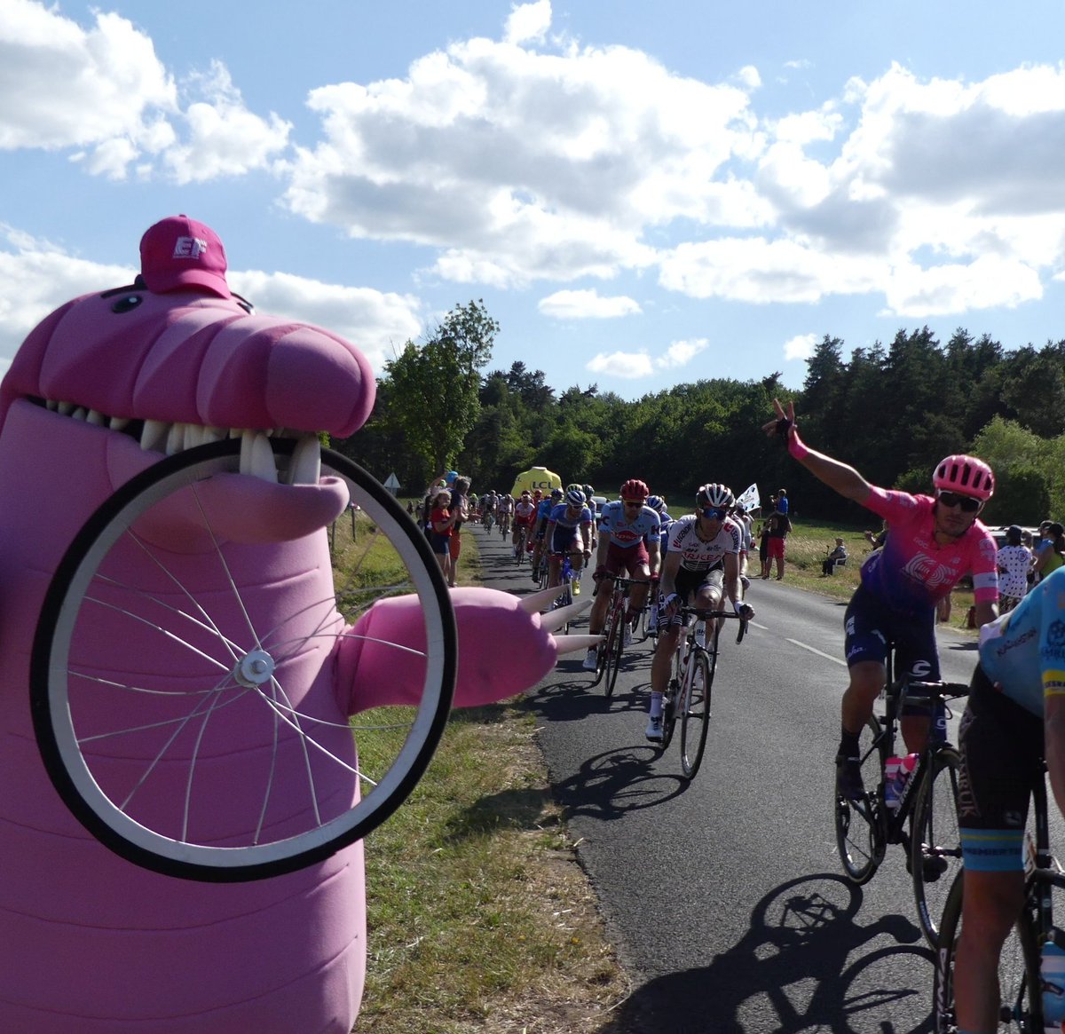 Our Guy Argyle the Crocodile (@argylethecroc) on Twitter photo Even when focused on the race, they take the time to say hello! βΊοΈ
<a href="/EFprocycling/">EF Pro Cycling</a>
#TDF2019 #ourguyargyle #exploretheworld Even when focused on the race, they take the time to say hello! βΊοΈ
<a href="/EFprocycling/">EF Pro Cycling</a>
#TDF2019 #ourguyargyle #exploretheworld