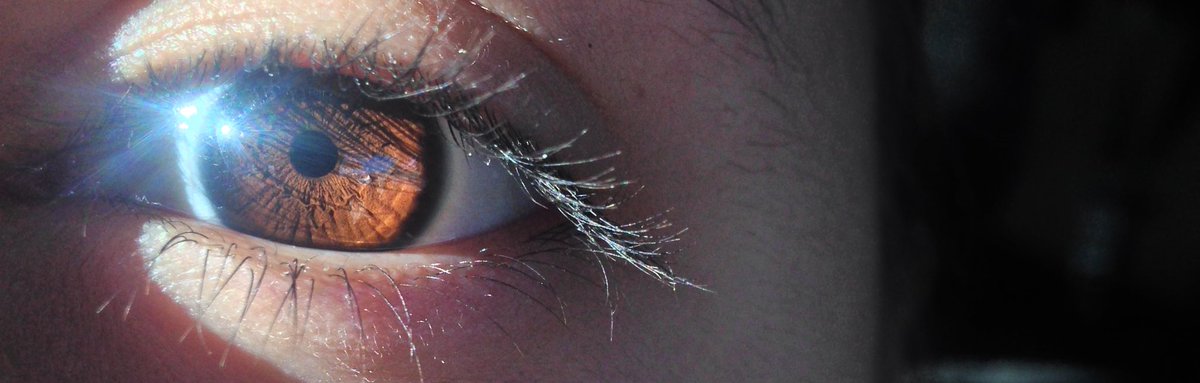 NATBELVA's tweet photo. appreciate my eyes https://t.co/7GxVWXzi9Y