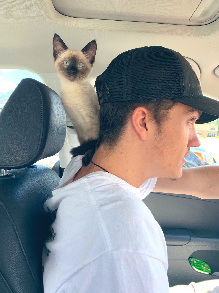 alicat8899's tweet photo. sorry i’m obsessed with my new baby and my boyfriend 💙 https://t.co/9U6LcpTZf1