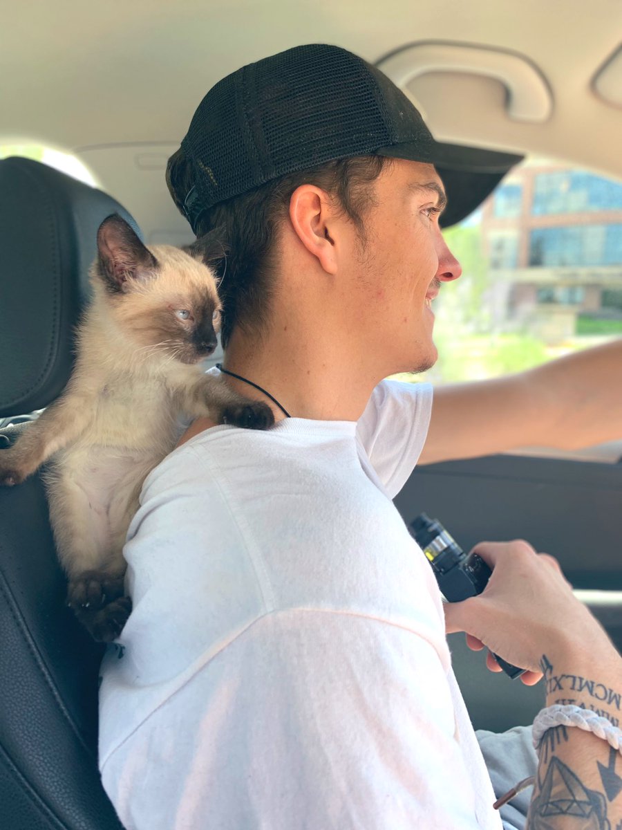 alicat8899's tweet photo. sorry i’m obsessed with my new baby and my boyfriend 💙 https://t.co/9U6LcpTZf1