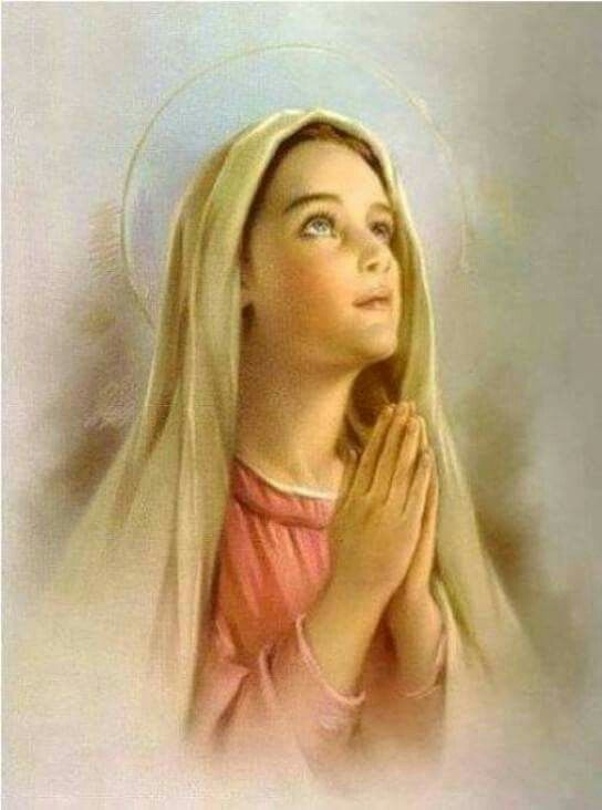 トルコ人キリスト教徒 Twitterren 私たちは聖母マリア様に祈りません 聖母マリア様と一緒に祈ります カトリック カトリック教会 トルコ トルコ人 キリスト教徒 クリスチャン 聖母マリア様