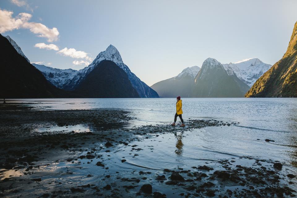 YoungAdventures's tweet photo. Right now my whanau at @realjourneys​ are running a Choose Your Cruise special for July, where you can explore either Doubtful Sound or Milford Sound for just $190 🤗 which one should I pick? Spill! Are you #teammilford or #teamdoubtful 🤔 #realjourneys

https://t.co/iqoHVcJESC https://t.co/nWE6VrqMYA