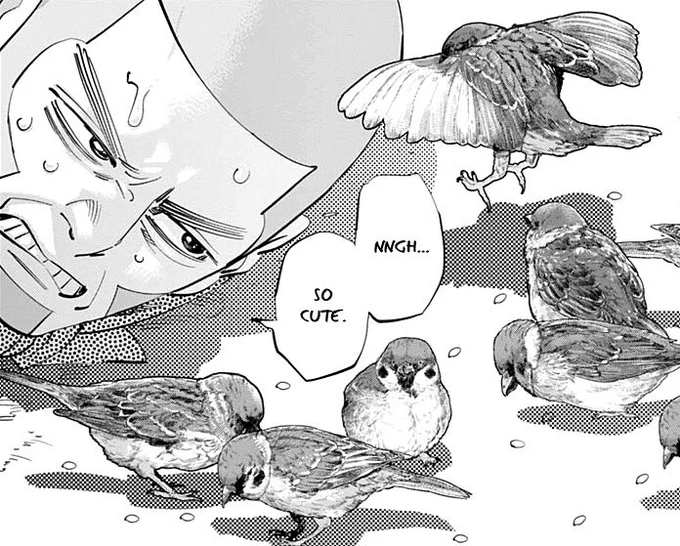 Me when i look at cute birds 